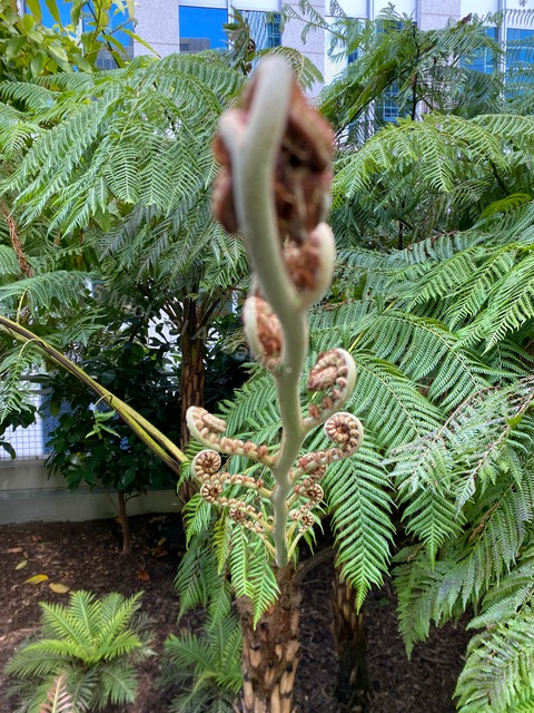 nature_2023-06-02 11.02.55-2023.jpg